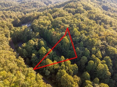 Fontana Lake Lot For Sale in Robbinsville (Graham) North Carolina