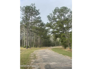 Great location. A short drive to Ingalls, Pascagoula, Ocean - photo 4
