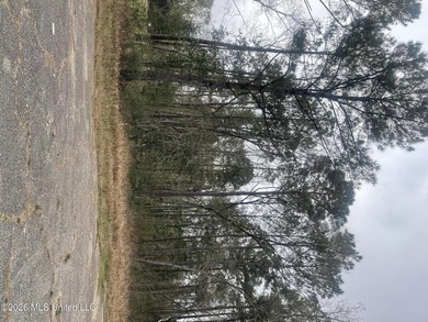 Great location. A short drive to Ingalls, Pascagoula, Ocean - photo 7