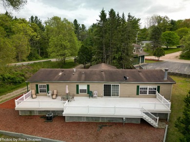 Pickerel Lake - Newaygo County Home Sale Pending in Newaygo Michigan