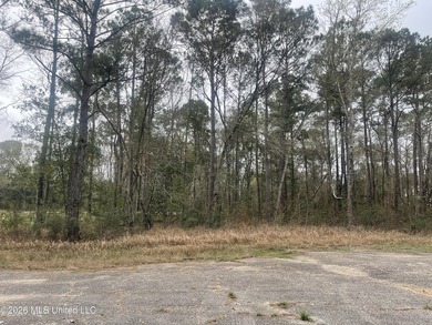 Great location. A short drive to Ingalls, Pascagoula, Ocean - photo 8