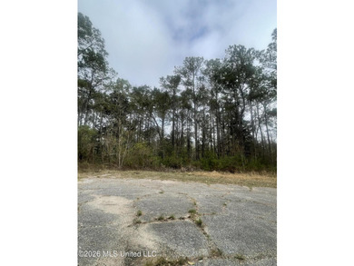 Great location. A short drive to Ingalls, Pascagoula, Ocean - photo 6