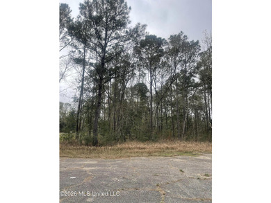 Great location. A short drive to Ingalls, Pascagoula, Ocean - photo 7