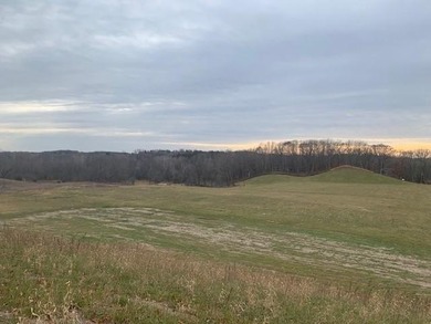 THIS IS THE LAST OF THE 3 LOTS REMAINING. Rare opportunity to - photo 7