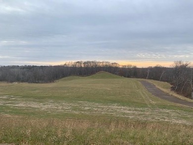 THIS IS THE LAST OF THE 3 LOTS REMAINING. Rare opportunity to - photo 8