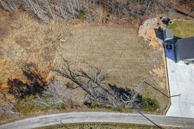 Attention real estate investors! Lot 59 on Backbone Road offers - photo 2
