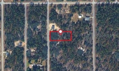 Bonable Lake Lot Sale Pending in Dunnellon Florida