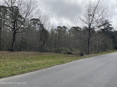 Great location. A short drive to Ingalls, Pascagoula, Ocean - photo 4