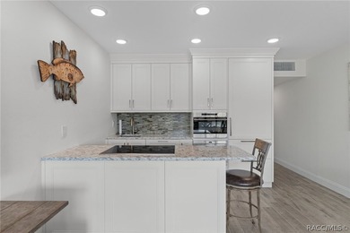 Welcome to 5215 S Swiftwater Way, Unit 3-a stunning Homosassa - photo 14