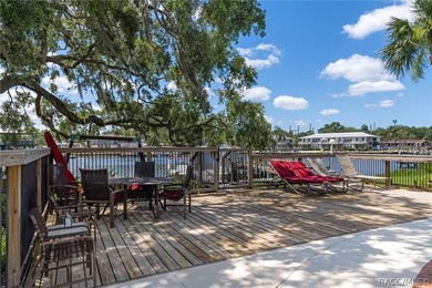 Welcome to 5215 S Swiftwater Way, Unit 3-a stunning Homosassa - photo 24