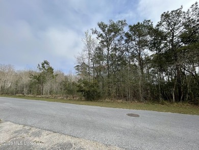 Great location. A short drive to Ingalls, Pascagoula, Ocean - photo 9