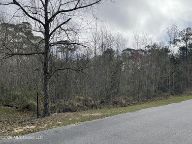 Great location. A short drive to Ingalls, Pascagoula, Ocean - photo 6