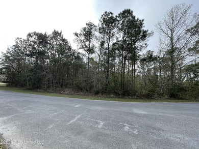 Great location. A short drive to Ingalls, Pascagoula, Ocean - photo 10