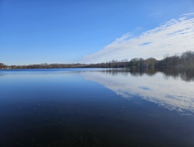 Swan Lake - Allegan County Lot For Sale in Allegan Michigan