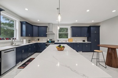 Welcome to a stunning new construction contemporary colonial - photo 5