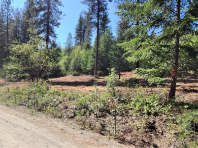 Lake Acreage For Sale in Kettle Falls, Washington