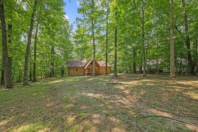 Peace and quiet and beauty surround this Honest Abe log home - photo 3