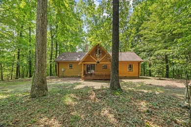 Peace and quiet and beauty surround this Honest Abe log home - photo 5
