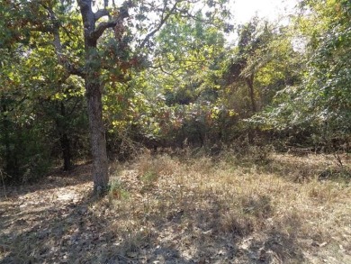 Lake Lot For Sale in Stigler, Oklahoma