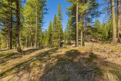 Mountain Estate lots in Jug Mountain Ranch. New homesites in - photo 11