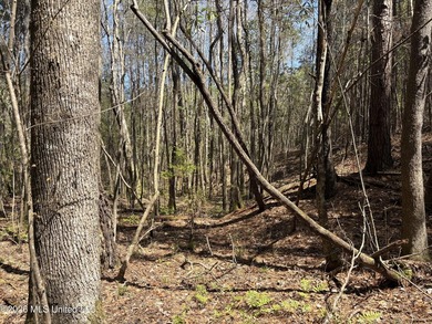If you've been searching for an affordable piece of land with - photo 11