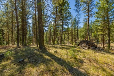 Mountain Estate lots in Jug Mountain Ranch. New homesites in - photo 12