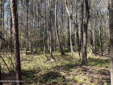 If you've been searching for an affordable piece of land with - photo 12