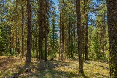 Mountain Estate lots in Jug Mountain Ranch. New homesites in - photo 13