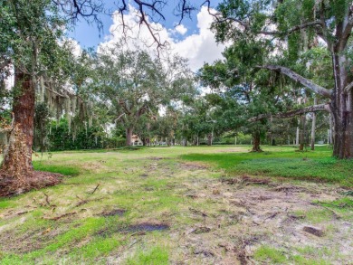 Prime Waterfront Lot for Sale at 5001 S Shore Circle, Tampa, FL - photo 13