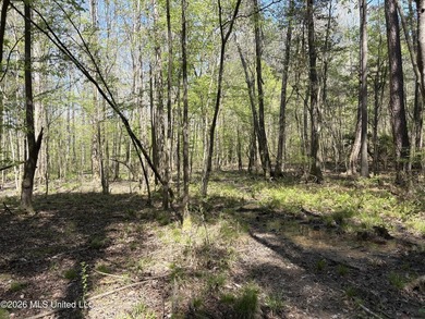 If you've been searching for an affordable piece of land with - photo 13