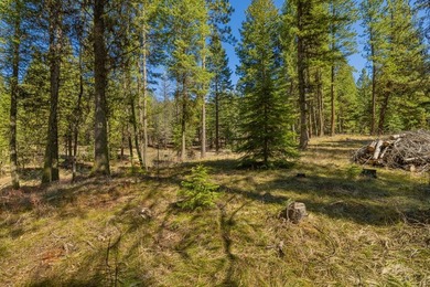 Mountain Estate lots in Jug Mountain Ranch. New homesites in - photo 14