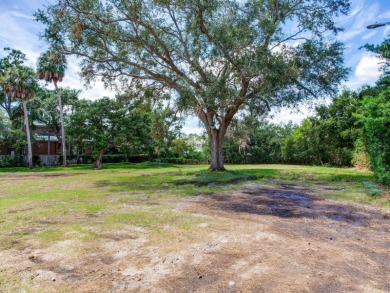 Prime Waterfront Lot for Sale at 5001 S Shore Circle, Tampa, FL - photo 14