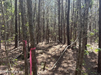 If you've been searching for an affordable piece of land with - photo 14