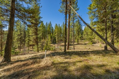 Mountain Estate lots in Jug Mountain Ranch. New homesites in - photo 15