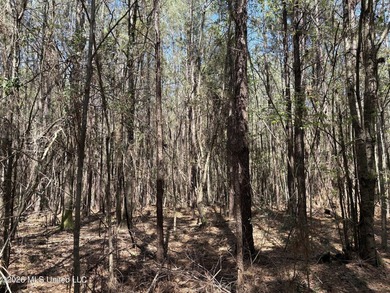 If you've been searching for an affordable piece of land with - photo 15