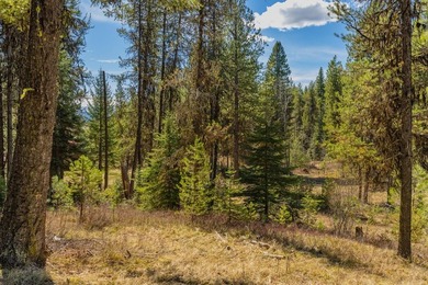 Mountain Estate lots in Jug Mountain Ranch. New homesites in - photo 16