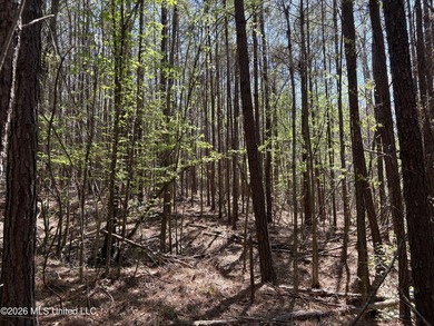 If you've been searching for an affordable piece of land with - photo 16