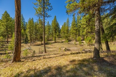 Mountain Estate lots in Jug Mountain Ranch. New homesites in - photo 17