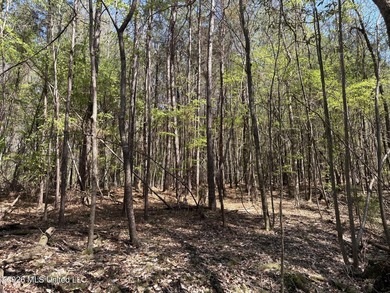 If you've been searching for an affordable piece of land with - photo 17