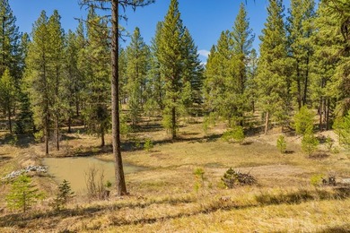 Mountain Estate lots in Jug Mountain Ranch. New homesites in - photo 18
