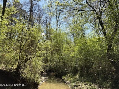 If you've been searching for an affordable piece of land with - photo 18