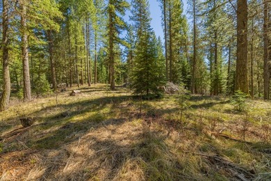 Mountain Estate lots in Jug Mountain Ranch. New homesites in - photo 19