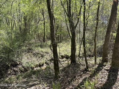 If you've been searching for an affordable piece of land with - photo 19