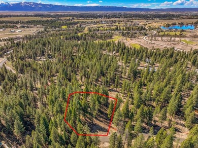 Mountain Estate lots in Jug Mountain Ranch. New homesites in - photo 20