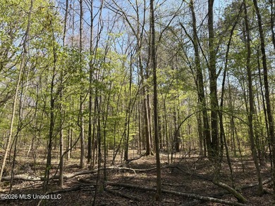If you've been searching for an affordable piece of land with - photo 20
