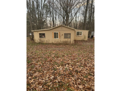 (private lake, pond, creek) Home For Sale in Lake Michigan