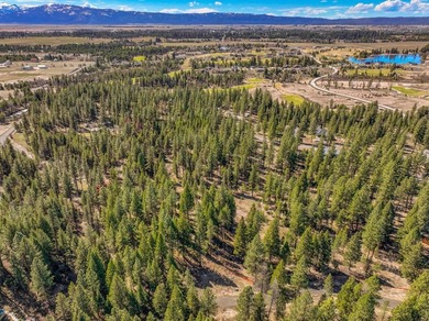 Mountain Estate lots in Jug Mountain Ranch. New homesites in - photo 21