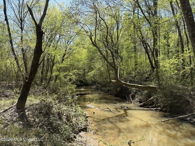 If you've been searching for an affordable piece of land with - photo 21