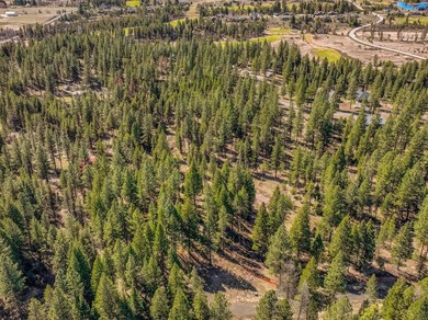 Mountain Estate lots in Jug Mountain Ranch. New homesites in - photo 22