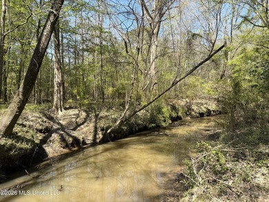 If you've been searching for an affordable piece of land with - photo 22